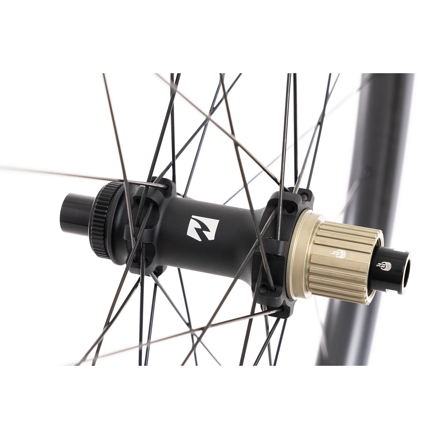 TR 309/307 Enduro (Mullet) - Image 6